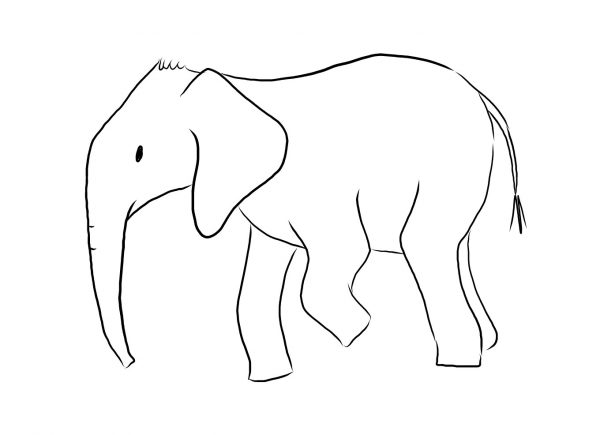 elefant-szinezo