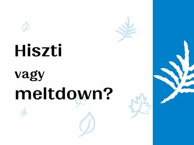 Meltdown