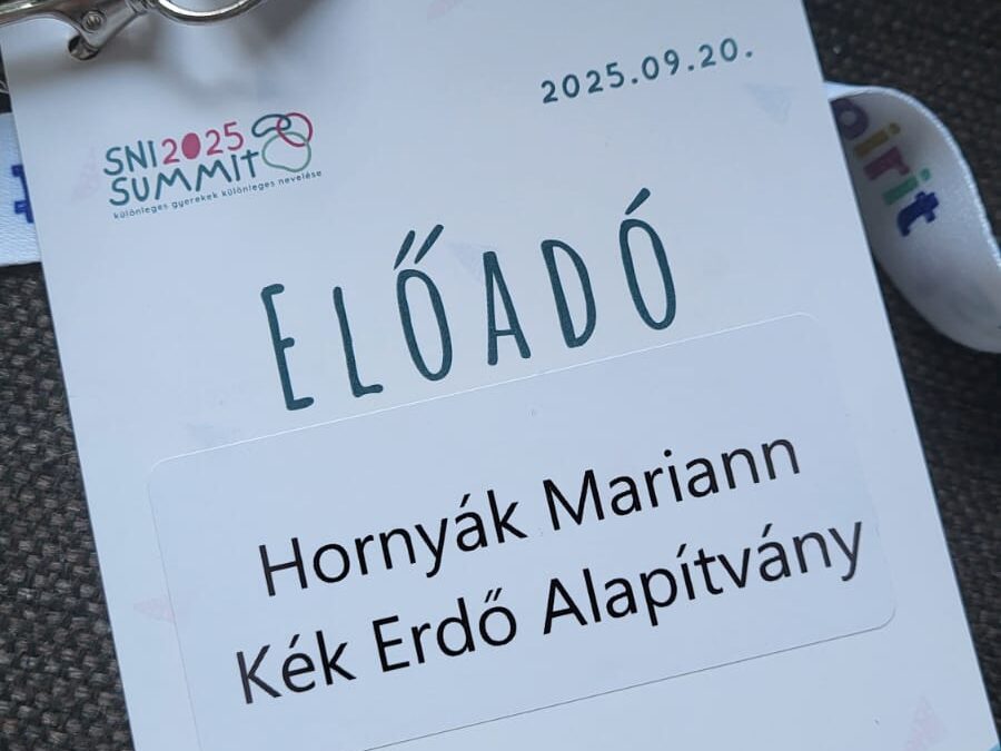 Egy nap, amikor érezni lehetett, hogy nem vagyunk egyedül – SNI Summit 2025