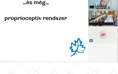 Előadás a szenzoros feldolgozási zavarról -Sövér Elek Technológiai Líceum