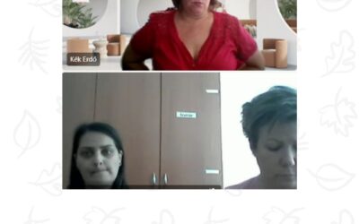 Előadás a szenzoros feldolgozási zavarról -Zöld Kuckó Bölcsőde